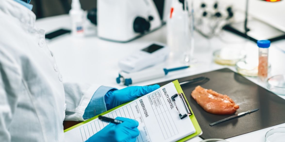 Görsel Kalite Muayene